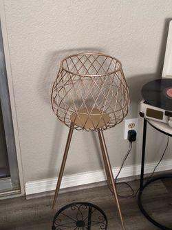 Plant holder