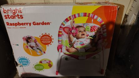 Bright Starts Raspberry Bouncer