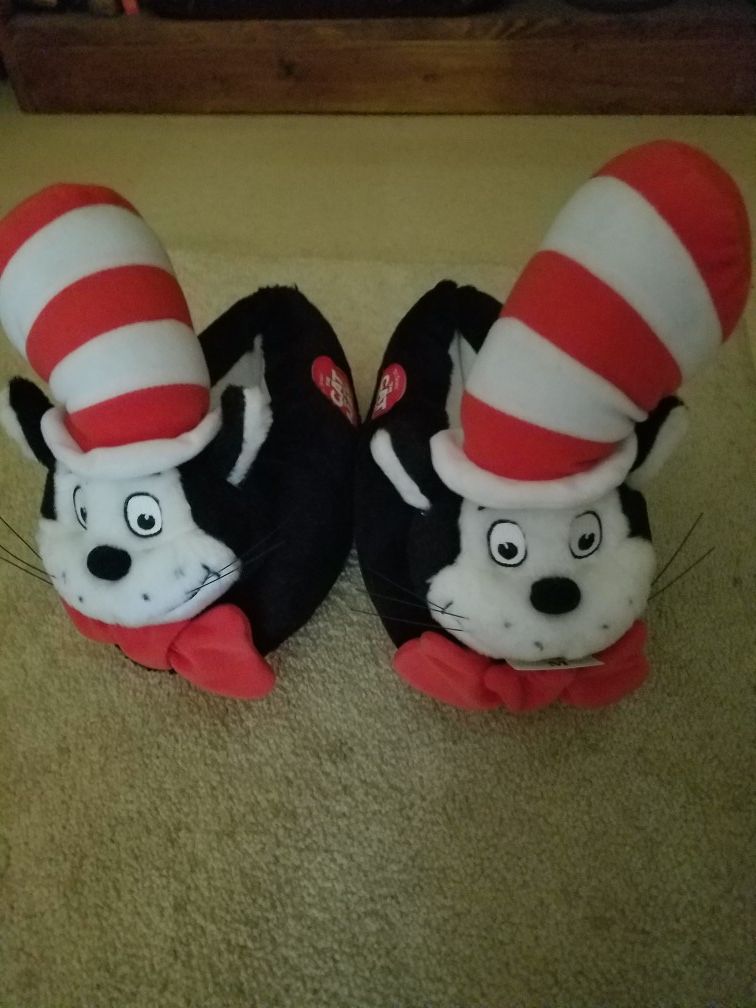 Cat in hat bedroom shoes