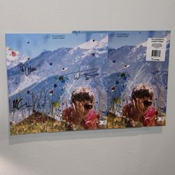 SIGNED Vinyl The Academy Is Almost There - NEW LP Record Autographed