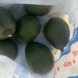 Organic Avocado