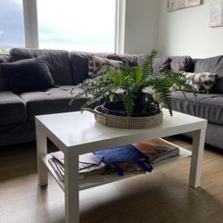 Center Table, Sofa, Decor (Set) (Available Beginning July 28th)