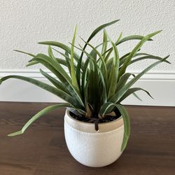 Artificial Plant With Ceramic Pot