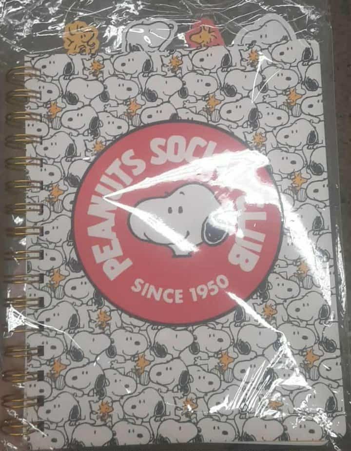 New Peanuts Tabbed Journal Book