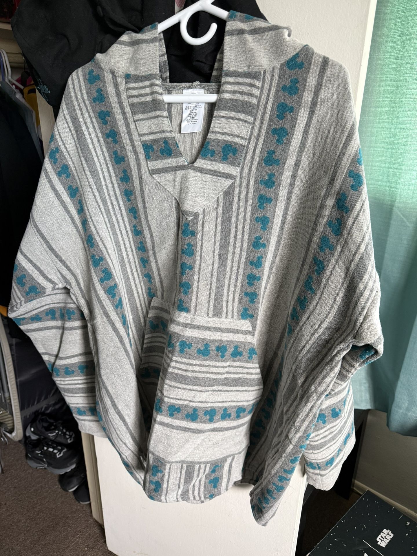 Disneyland Poncho