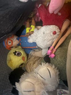 Free bag of toys