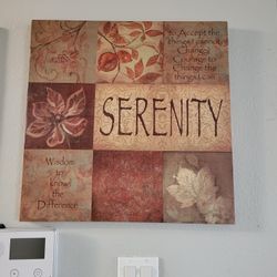 Canvas Frame/ Wall Decor