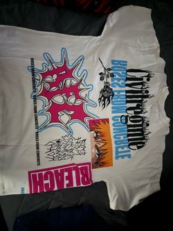 Civil regime bleach