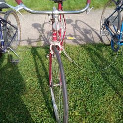 Schwinn Bicycle 