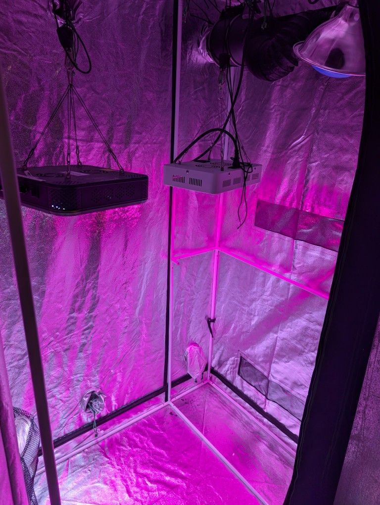 Grow Tent and Full Setup