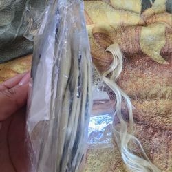 Blonde Clip Extensions 