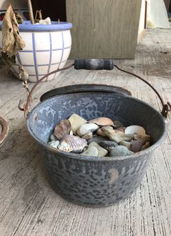 Bucket