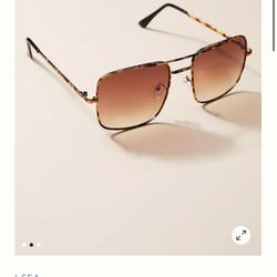 Bowery Aviator ISEA Sunglasses 