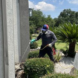 Fumigar/ Termitas / Roaches / Chinches 