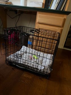 Medium Dog Crate