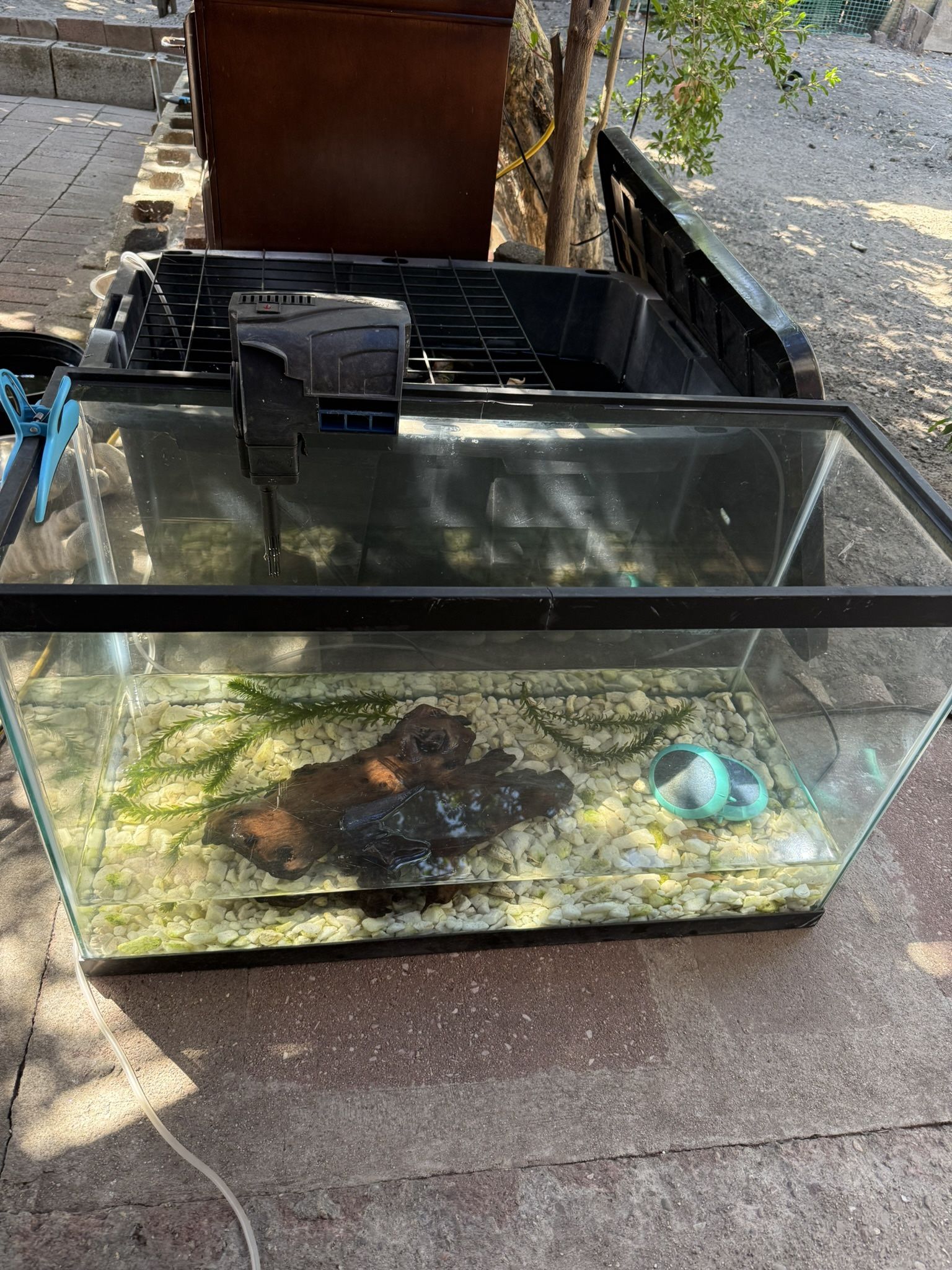 Fish Tank