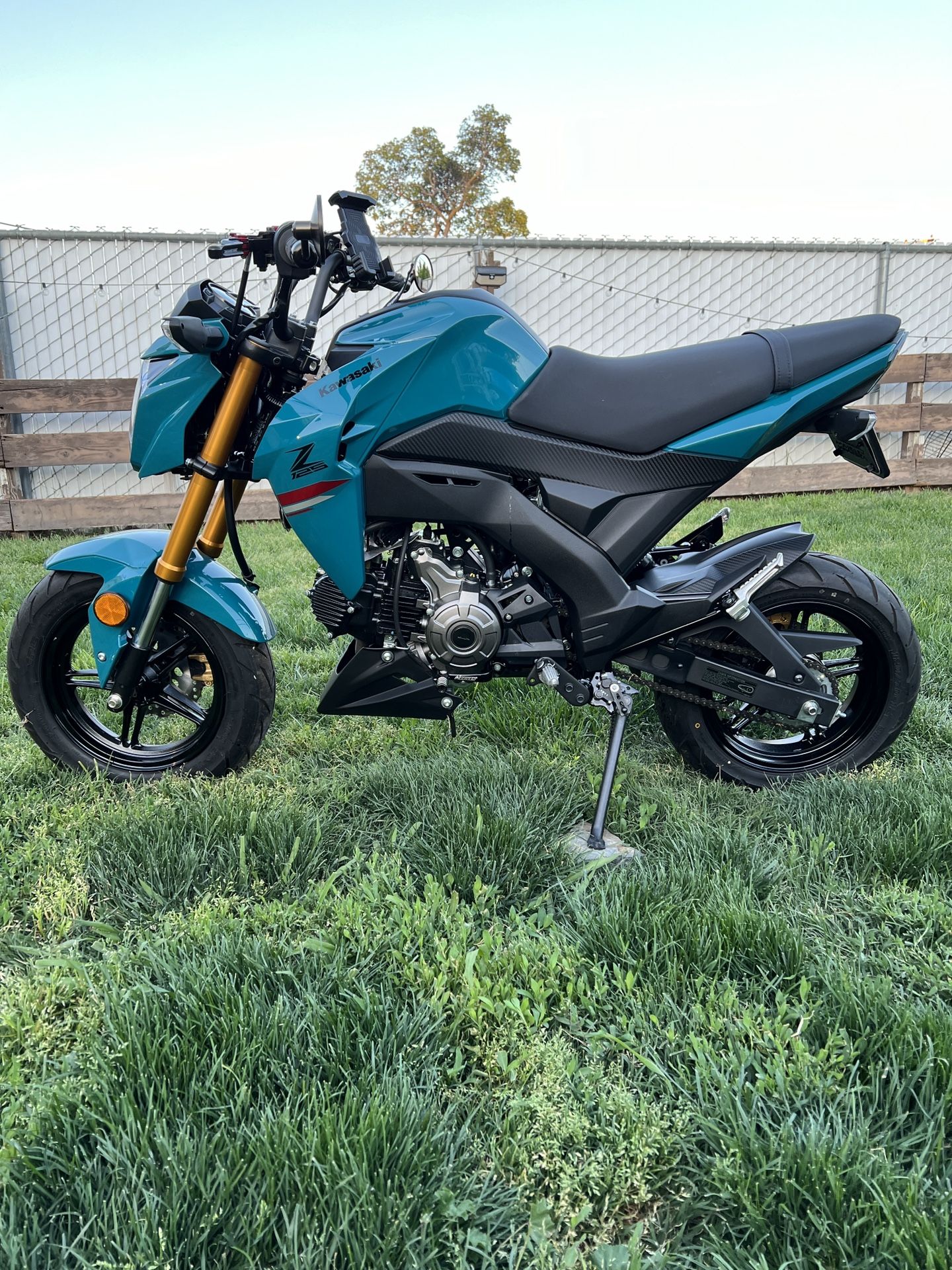 2021 Kawasaki Z125
