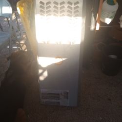 Payne Gas Heater 