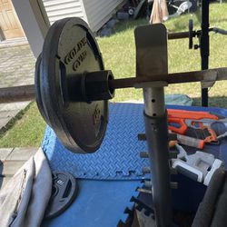weight bench and weights and rack