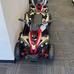 Electric Atv 1000 W
