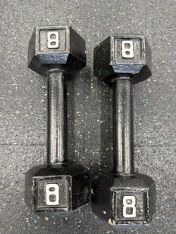 8lb Dumbbell Pair