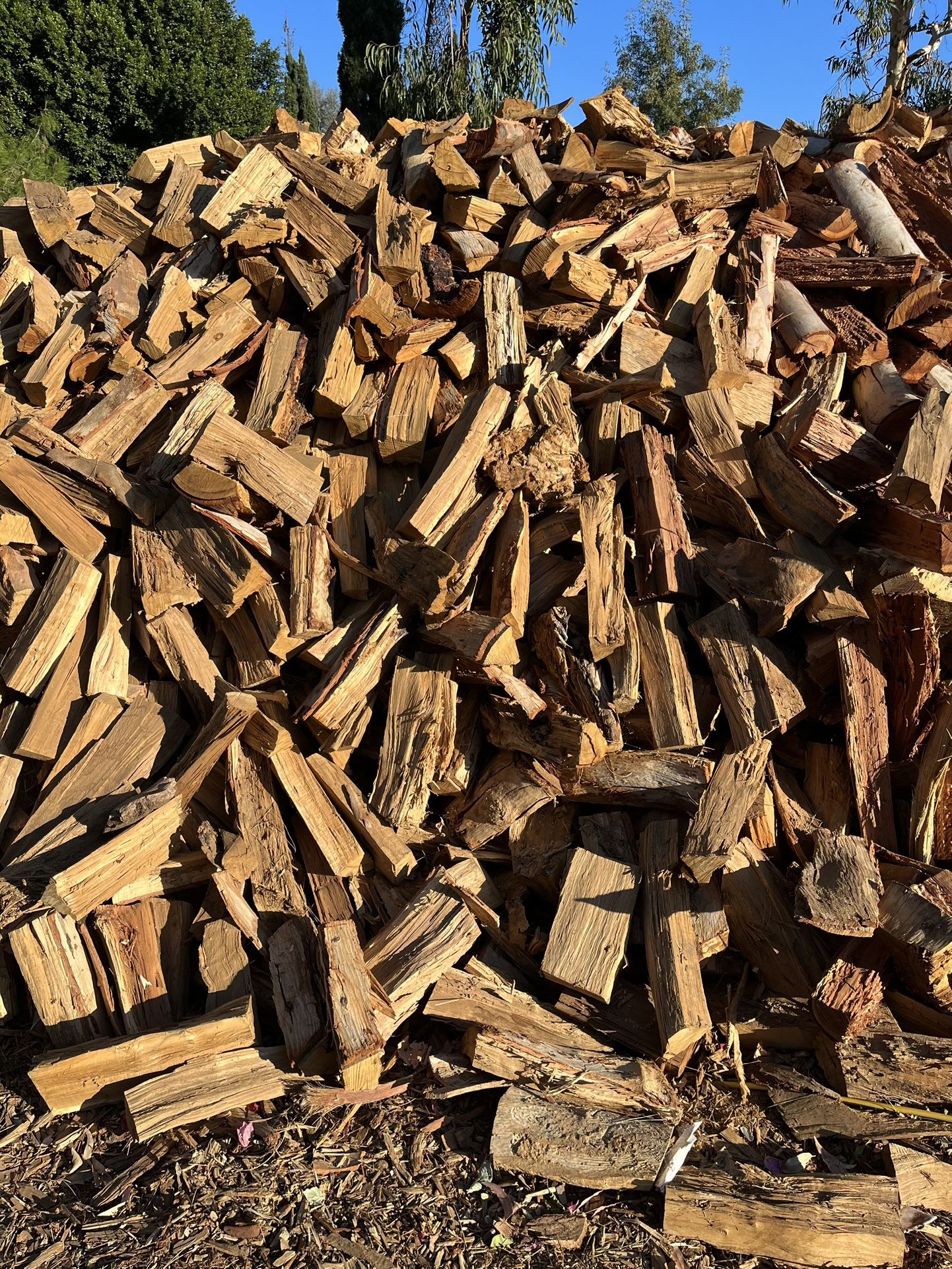 Firewood