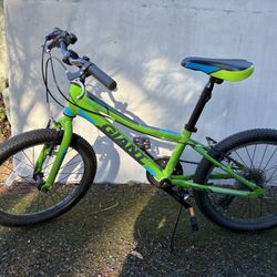 Kids Bike, 20” Wheels, Giant