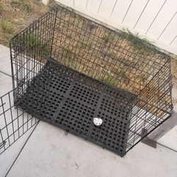 Large Dog Crate 