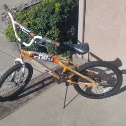 Boys BMX Bike