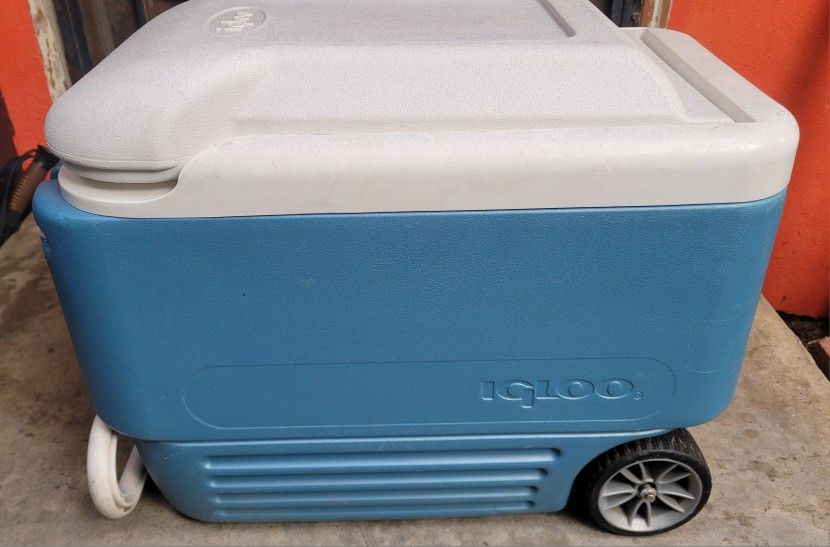 IGLOO
MaxCold Roller Cooler 40 Quart