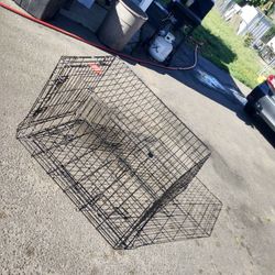Dog Cage