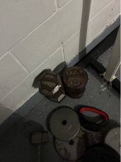 30 weight dumbbells