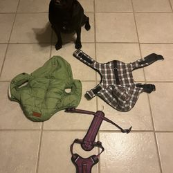 Puppy Harness/ Sweaters