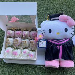 Hello, Kitty, graduation, Teddy
