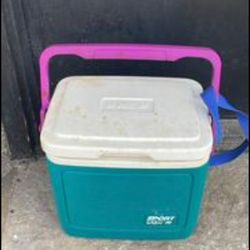 Igloo Cooler