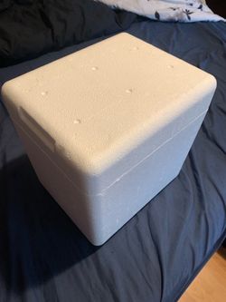 Styrofoam Containers (SMALL)