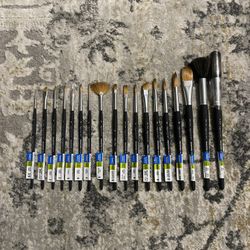 Princeton: Aqua Elite Series - Synthetic Watercolor Paint Brush Bundle #1 (18)