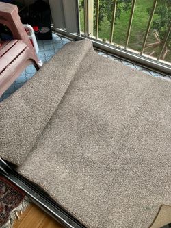 Need room 5x7 floor rug for $6