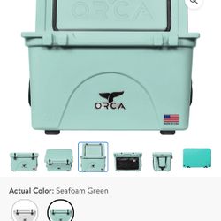 Mint Condition Orca Cooler
