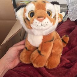 Ty Tiger