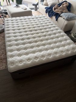 Free Queen Mattress