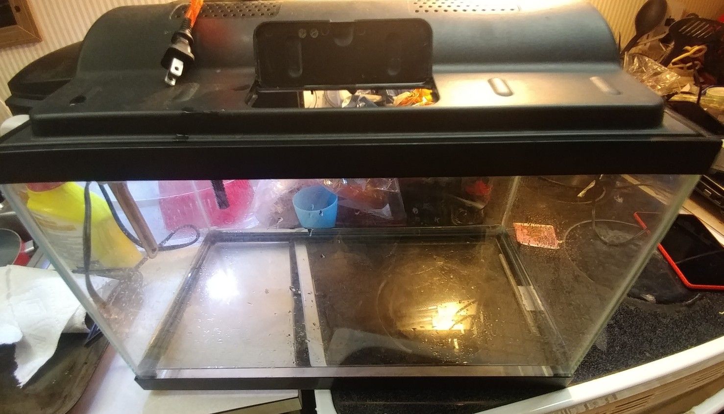 Ten gallon fish tank