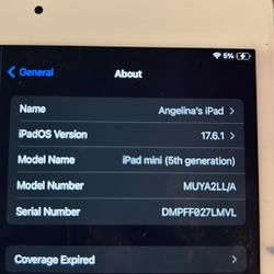 iPad Mini 256 Gb 5th Gen  WiFi+ Cellular 