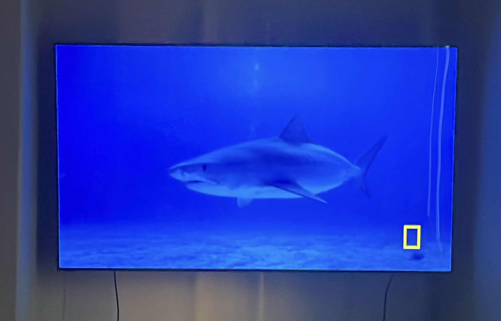 Vizio
