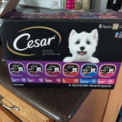 Comida Para Bebes Perrito 🐕,Son 21 Por $18 Dólares