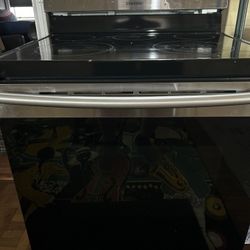 Samsung Electric Range