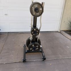 Complete Nautilus Weight Set with Bars & Rolling Rack