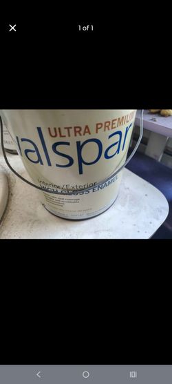 1G WHITE PAINT (NEW)