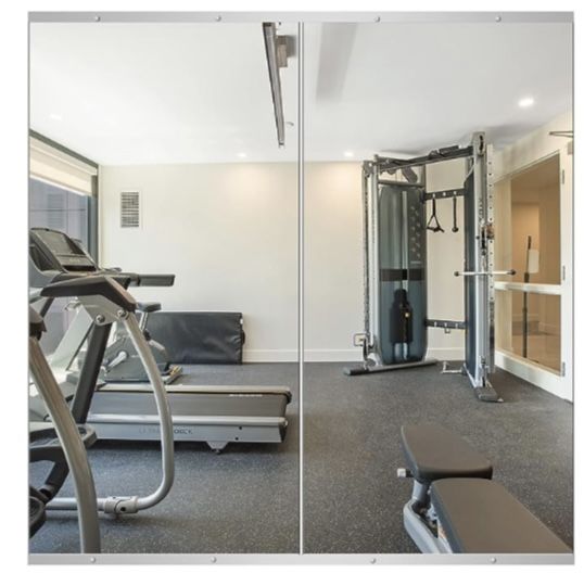 Delma Home Gym Mirror, 48''x24''x2PCS, Large Full Body Mirror for