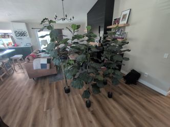 Artificial Fiddle Leaf Fig Trees – Set of 5